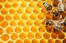 best natural raw propolis