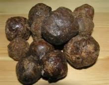 100% pure raw propolis from the biggest bee industry