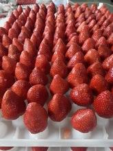 Frozen IQF strawberry