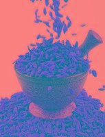 Dry Goji Berry From NingXia