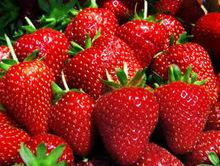 2015  New   Crop   IQF   Frozen   Strawberry  Grade A