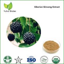 Siberian Ginseng Extract,siberian ginseng p.e,eleutheroside