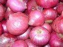 Fresh Red and White Onions
