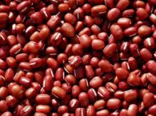 High qualtiy red kidney  bean ,340-350pcs/100g, azuki   bean 