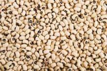 Black Eyed Pea