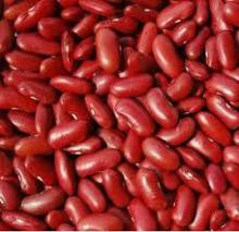 Red Kidney Beans