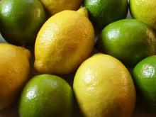 Fresh Citrus Fruits /Yellow Lemon&Green Lime/ Best Selling Products/ Wholesale
