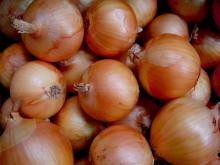 Fresh red and yellow onion exporters in turkey