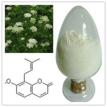 Cnidium Seed Extract