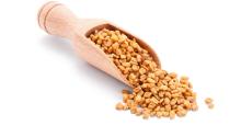 buy Fenugreek seed extract