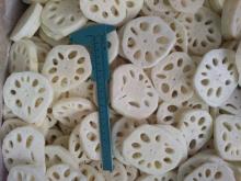 new crop Chinese IQF  Lotus   Root  Slice,  Frozen   Lotus   Root 