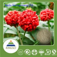 Panax  notoginseng   extract   notoginseng  Powder/sanqi  extract 