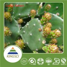 Natural weight loss Hoodia  Extract /Hoodia  Extract  Powder/Hoodia  Cactus   Extract  Bulk Store