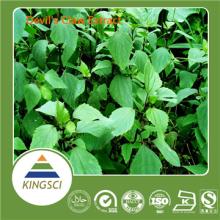 free sample available bulk devil's claw extract 5% Harpagoside powder