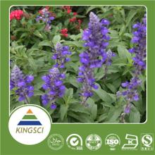 High quality  Salvia  sclarea  extract  98% Sclareolide  Powder 