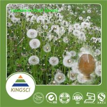 Factory price supply pure natural Dandelion root extract 5% 10% Flavonoids