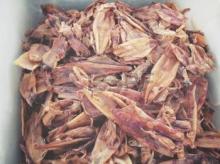 seafood  dry   squid  / try fish / fish tapatocino