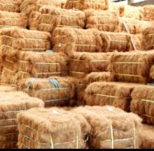 LONG COCONUT FIBER