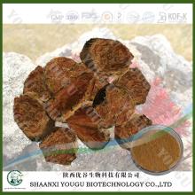 China Natural Rhodiola Rosea Extract  5 %  Rosavins  , Rhodiola Rosea P.E. wholesaler