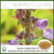 100% natural Coleus forskohlii Extract 10.0%hplc  Forskolin 