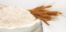 Wheat Flour