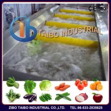 leafy  vegetable   washer 