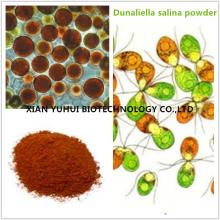 Salt Algae Extract,dunaliella salina powder, dunaliella salina extract