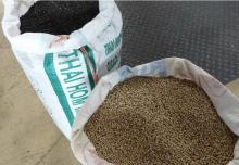 Black and White Pepper ,Garlic,Ginger,Onion Hot Product for Sale