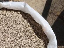 Dried Black and White Pepper and Chilly 100% Organic for  Sale  in  Bulk  Quantity