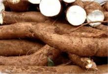 Fresh Cassava for sale