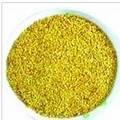 HIGH QUALITY PAPRIKA SEEDS for sale
