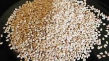 sesame seeds for sale
