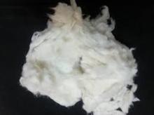 Raw white 100% cotton for yarn for sale
