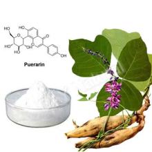 kudzu root extract Puerarin 30%