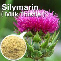 Liver protection Milk Thistle Extract 80% silymarin
