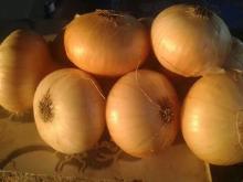  Fresh  yellow  onion  suppliers,golden  onion  egypt,yellow  onion s  farm s