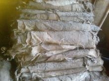 Dry and Wet Salted donkey Hides