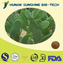 Cactus Plant Extract