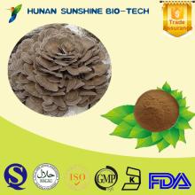 Maitake Mushroom Extrac