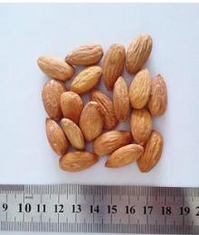 Roasted Almond salted,  honey ed, dry roasted almonds, Raw Organic Almond/Apricot kernels