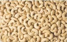 Raw Cashew Nut