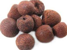  areca   nut 