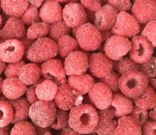 new crop frozen  IQF   Raspberry  Whole and Crumble, Frozen  Raspberry 