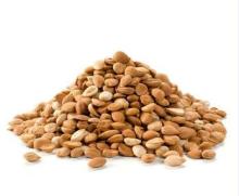 Bitter Apricot Kernels