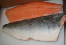 Quality Frozen Atlantic Salmon