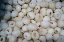 IQF lychee meat