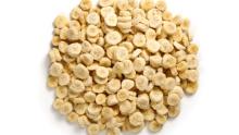 IQF ORGANIC FROZEN BANANA SLICES