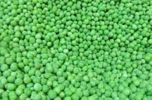 IQF Greenpeas