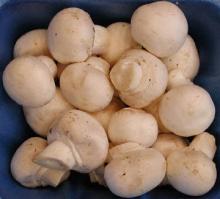  IQF   champignon  mushroom