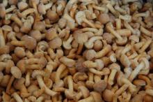 New Crop Mushrooms Nameko,Frozen Nameko
